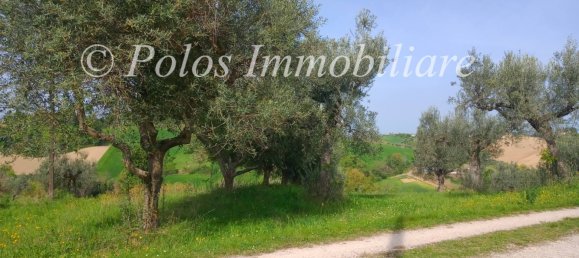 3000m² Land in Montottone, Italy No. 122951 7