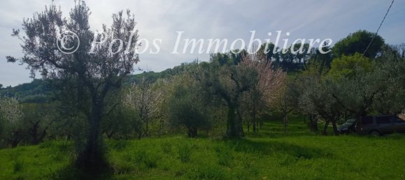 3000m² Land in Montottone, Italy No. 122951 5