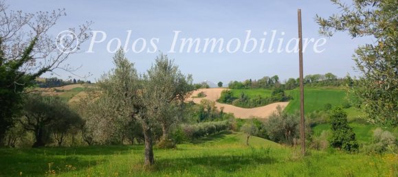 3000m² Land in Montottone, Italy No. 122951 2