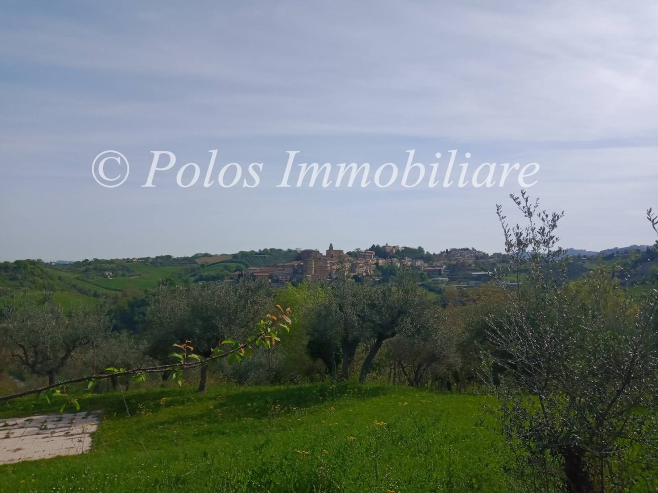 3000m² Land in Montottone, Italy No. 122951