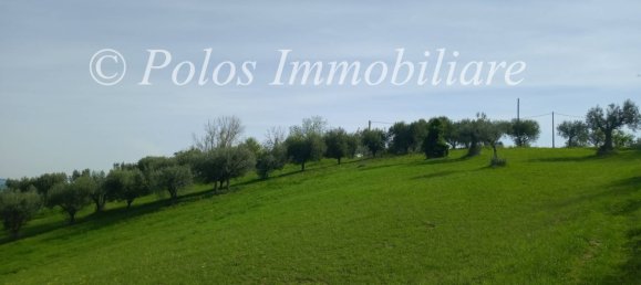 3000m² Land in Montottone, Italy No. 122951 4