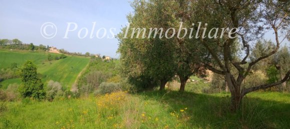 3000m² Land in Montottone, Italy No. 122951 6