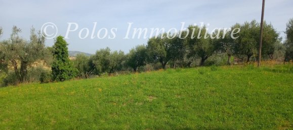 3000m² Land in Montottone, Italy No. 122951 8