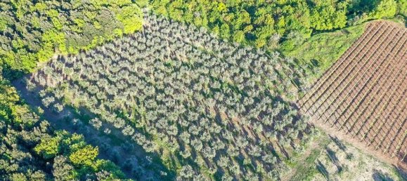 Edifício T6 em Volterra, Italy N.º 109522 5
