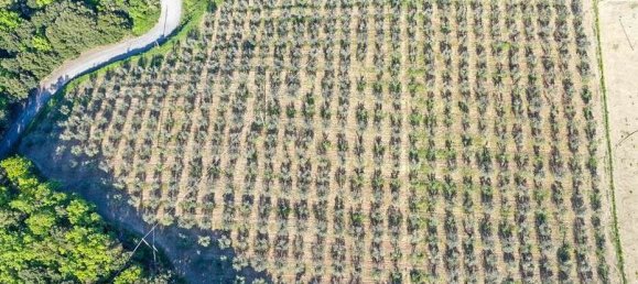 Edifício T6 em Volterra, Italy N.º 109522 4