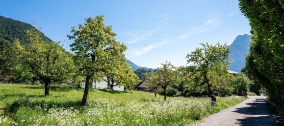 Grundstück in Bludenz, Austria, Nr. 237291 6
