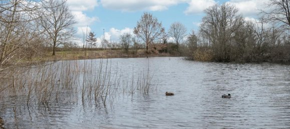 Adosado de 4 habitaciónes en Markisch-Oderland, Germany No. 28540 15