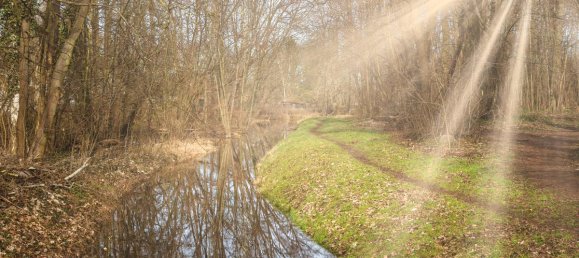 Adosado de 4 habitaciónes en Markisch-Oderland, Germany No. 28540 12