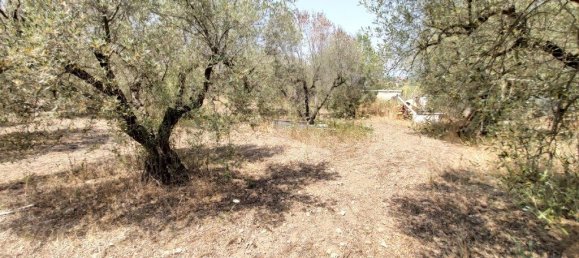 3 bedrooms Commercial property in Polygyros, Greece No. 3904 30