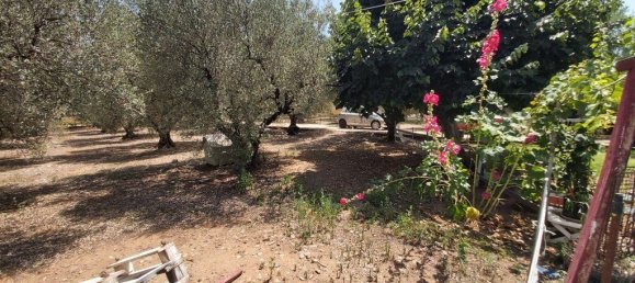 3 bedrooms Commercial property in Polygyros, Greece No. 3904 26