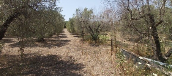 3 bedrooms Commercial property in Polygyros, Greece No. 3904 29