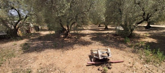 3 bedrooms Commercial property in Polygyros, Greece No. 3904 28