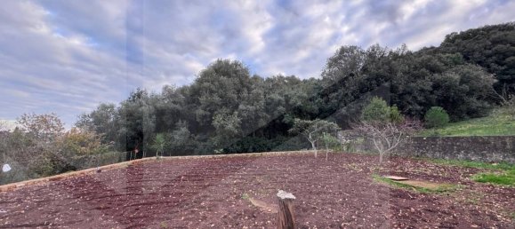 4-Zimmer Villa in Ostuni, Italy, Nr. 18289 19