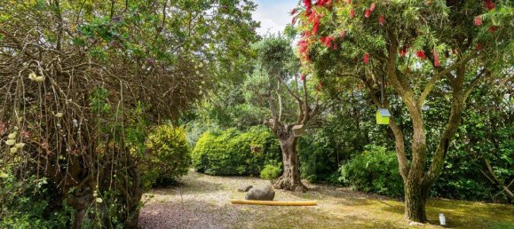 3 Schlafzimmer Haus in Sintra, Portugal, Nr. 112933 36