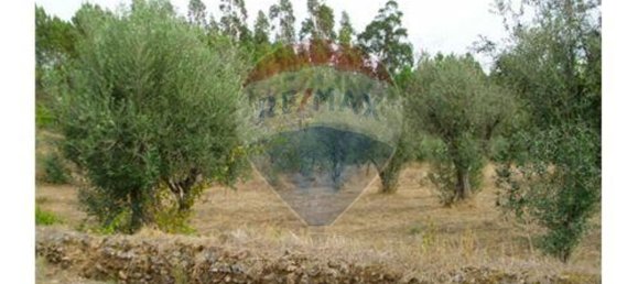 1 غرف نوم منزل في Ferreira do Zezere, Portugal رقم 185407 4