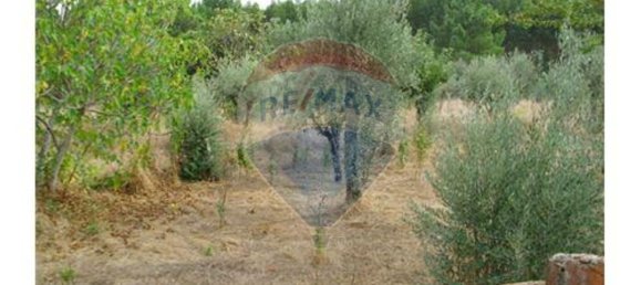 1 غرف نوم منزل في Ferreira do Zezere, Portugal رقم 185407 5