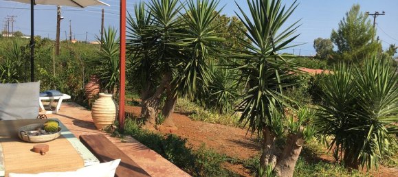 4 bedrooms Commercial property in Velo, Greece No. 2416 19