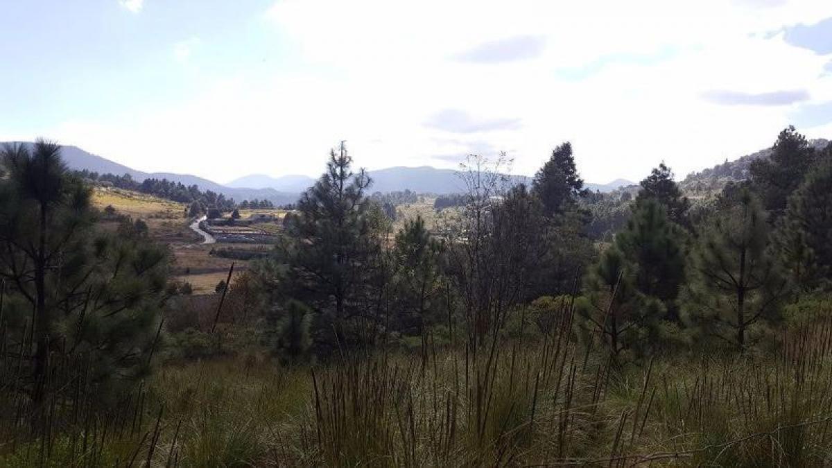 Grundstück in Lerma, Mexico, Nr. 205003