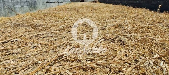 4 Schlafzimmer Haus in Povoa de Varzim, Portugal, Nr. 247386 18