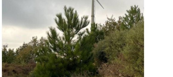 Grundstück in Petrizzi, Italy 87506m², Nr. 320625 9