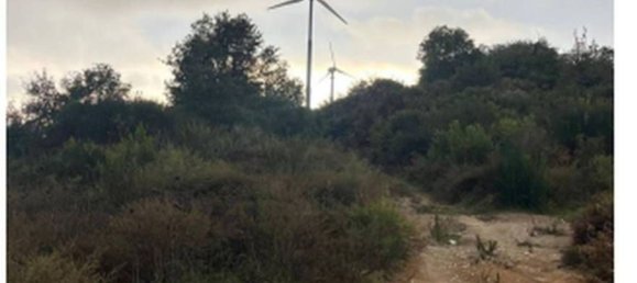 Grundstück in Petrizzi, Italy 87506m², Nr. 320625 7