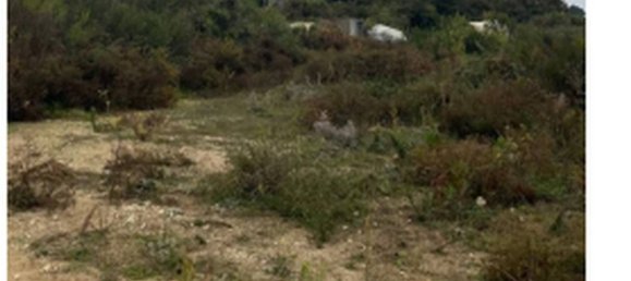 Grundstück in Petrizzi, Italy 87506m², Nr. 320625 8