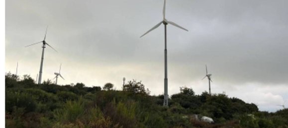 Grundstück in Petrizzi, Italy 87506m², Nr. 320625 4