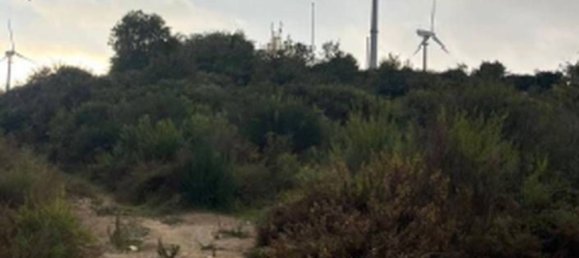 Grundstück in Petrizzi, Italy 87506m², Nr. 320625 6