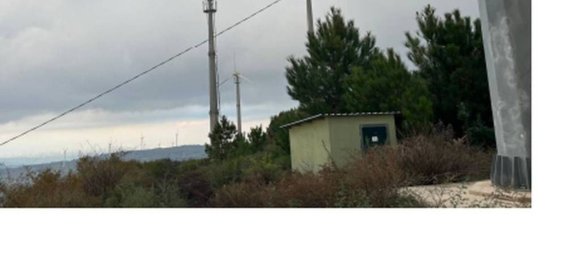 Grundstück in Petrizzi, Italy 87506m², Nr. 320625 2