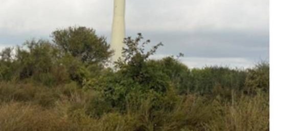 Grundstück in Petrizzi, Italy 87506m², Nr. 320625 10