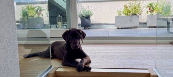 4 rooms Penthouse in Ostalbkreis, Germany No. 236039 22