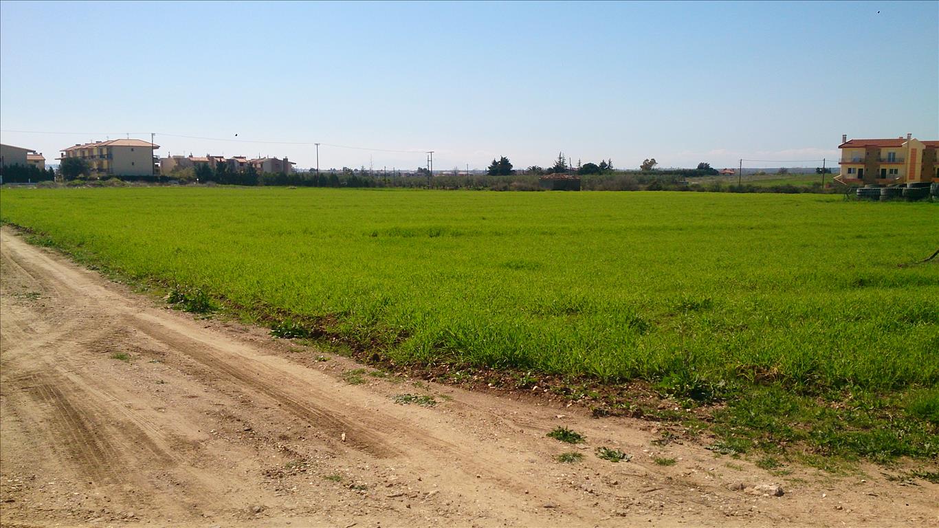 Hotel in Polygyros, Greece 8800m², Nr. 7974