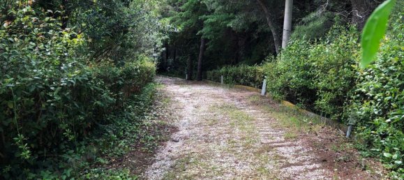 20 rooms Villa in Pesaro, Italy No. 285006 9