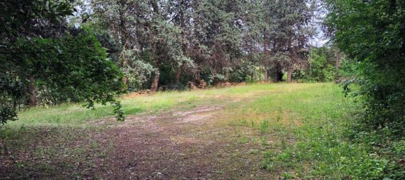 20 rooms Villa in Pesaro, Italy No. 285006 31