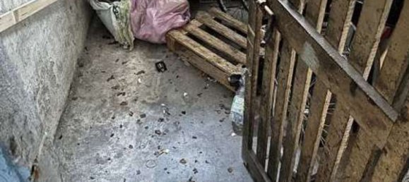 3 chambres Appartement à Gallarate, Italy No. 372605 11