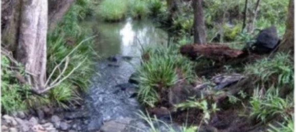 Casa T4 em Barkers Vale, Australia N.º 689 10