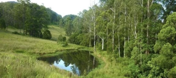 Casa T4 em Barkers Vale, Australia N.º 689 14