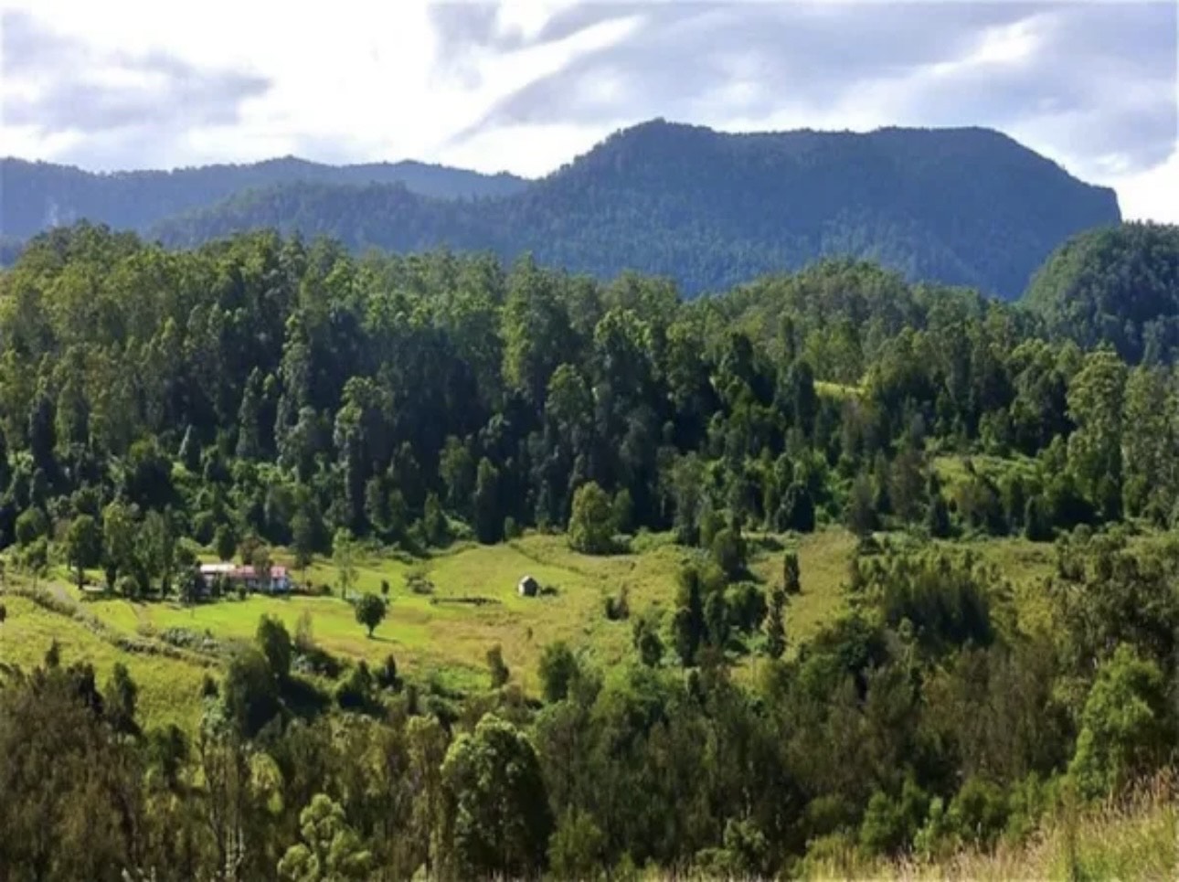 Casa T4 em Barkers Vale, Australia N.º 689