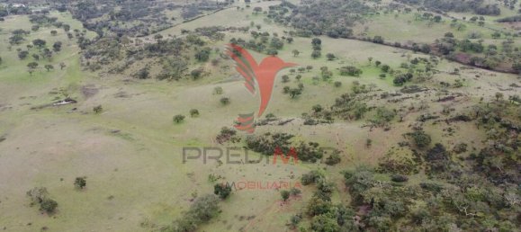 2 غرف نوم قلاع في Colos, Portugal رقم 55714 16