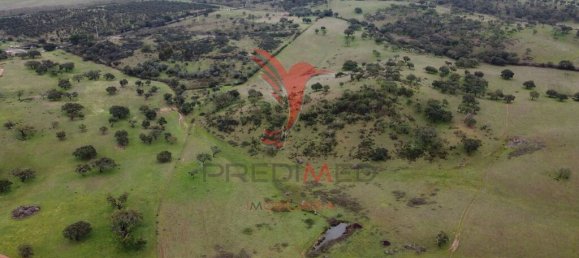 2 غرف نوم قلاع في Colos, Portugal رقم 55714 15