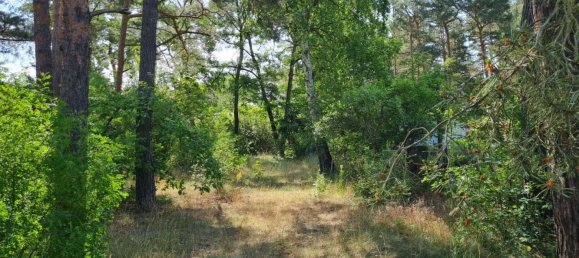 Земельный участок в Тельтов-Флеминг, Германия № 232666 8