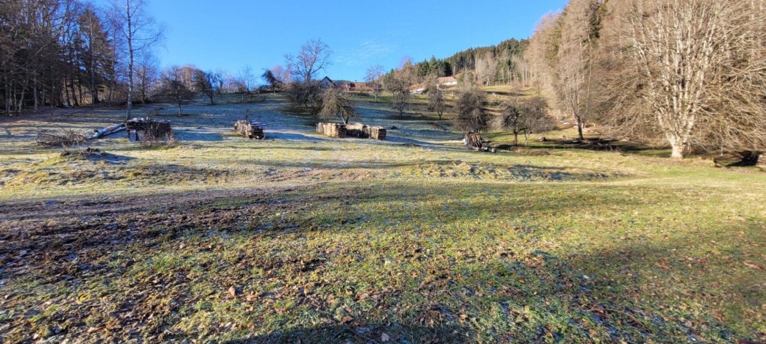 2 bedrooms House in Masevaux-Niederbruck, France No. 217657