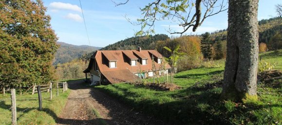 2 bedrooms House in Masevaux-Niederbruck, France No. 217657 3