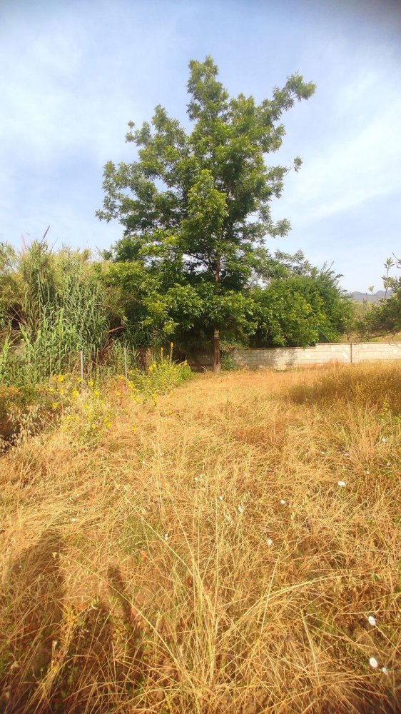 2 غرف نوم منزل في Mijas, Spain رقم 146853