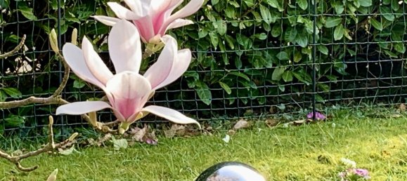 2 bedrooms Bungalow in Rhein-Sieg, Germany No. 344334 33