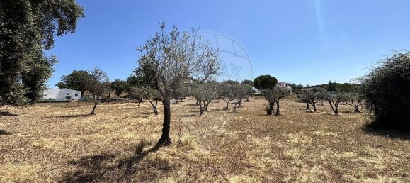 2 غرف نوم منزل في Arronches, Portugal رقم 29350 30