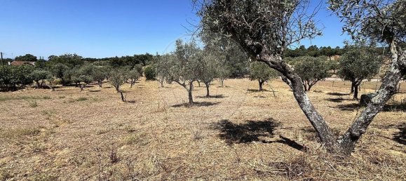 2 غرف نوم منزل في Arronches, Portugal رقم 29350 12