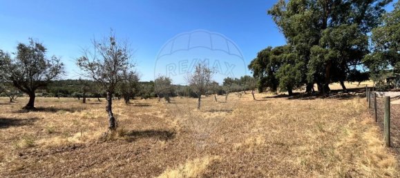 2 غرف نوم منزل في Arronches, Portugal رقم 29350 27