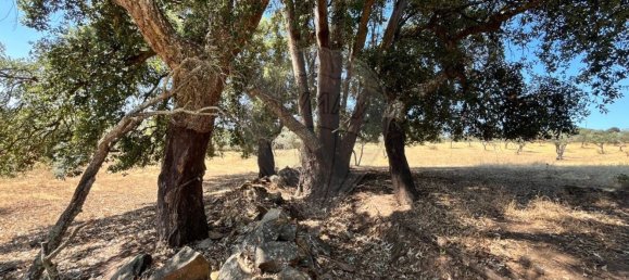 2 غرف نوم منزل في Arronches, Portugal رقم 29350 29