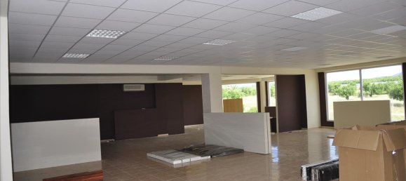 1250m² Property in Polygyros, Greece No. 7854 6